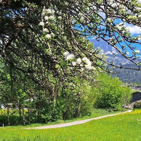 Kaiserwohl Going am Wilden Kaiser