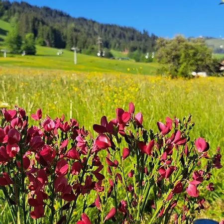 Kaiserwohl Going am Wilden Kaiser