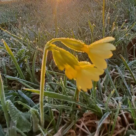 Kaiserwohl بيت للعطل